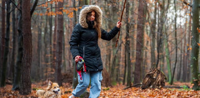 Woman walking her dog during autumn in a forest. Cozy seasonal vibe.